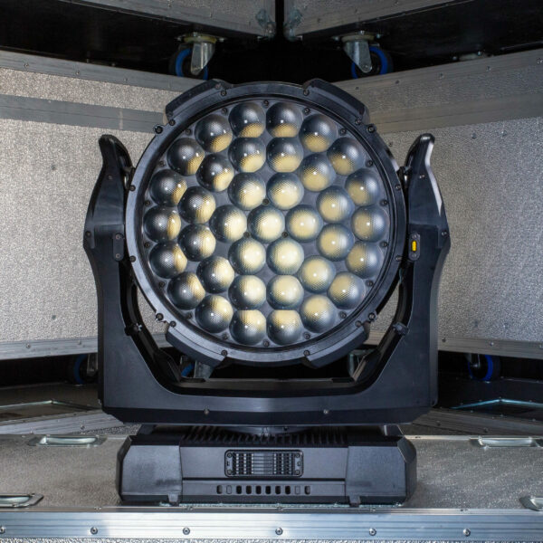 Raven 6599 scaled e1773222430648